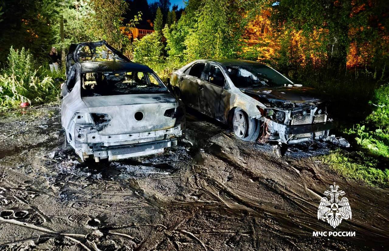 В Бежецке Тверской области сгорели две иномарки  - новости Афанасий