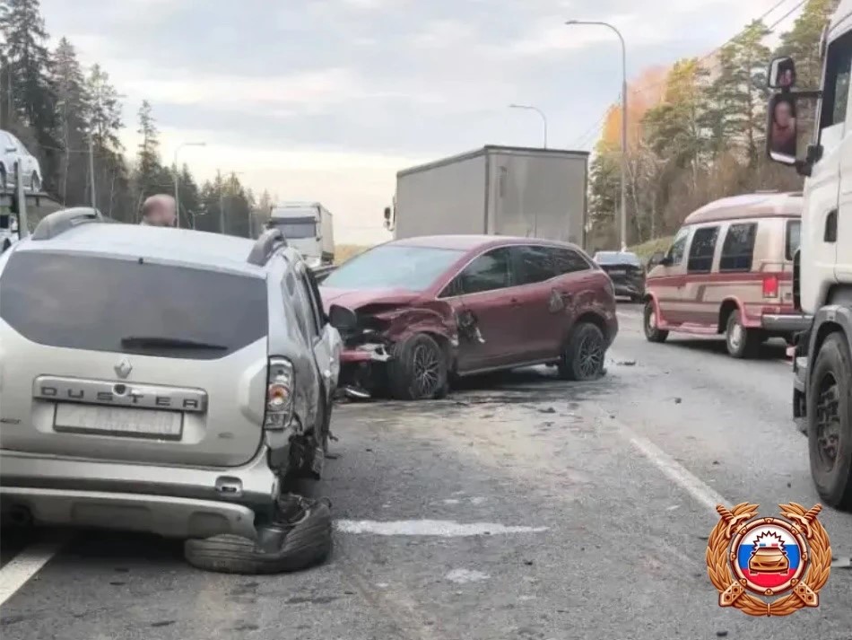 Четыре автомобиля столкнулись на трассе М10 в Тверской области Фото: Управление Госавтоинспекции по Тверской области
