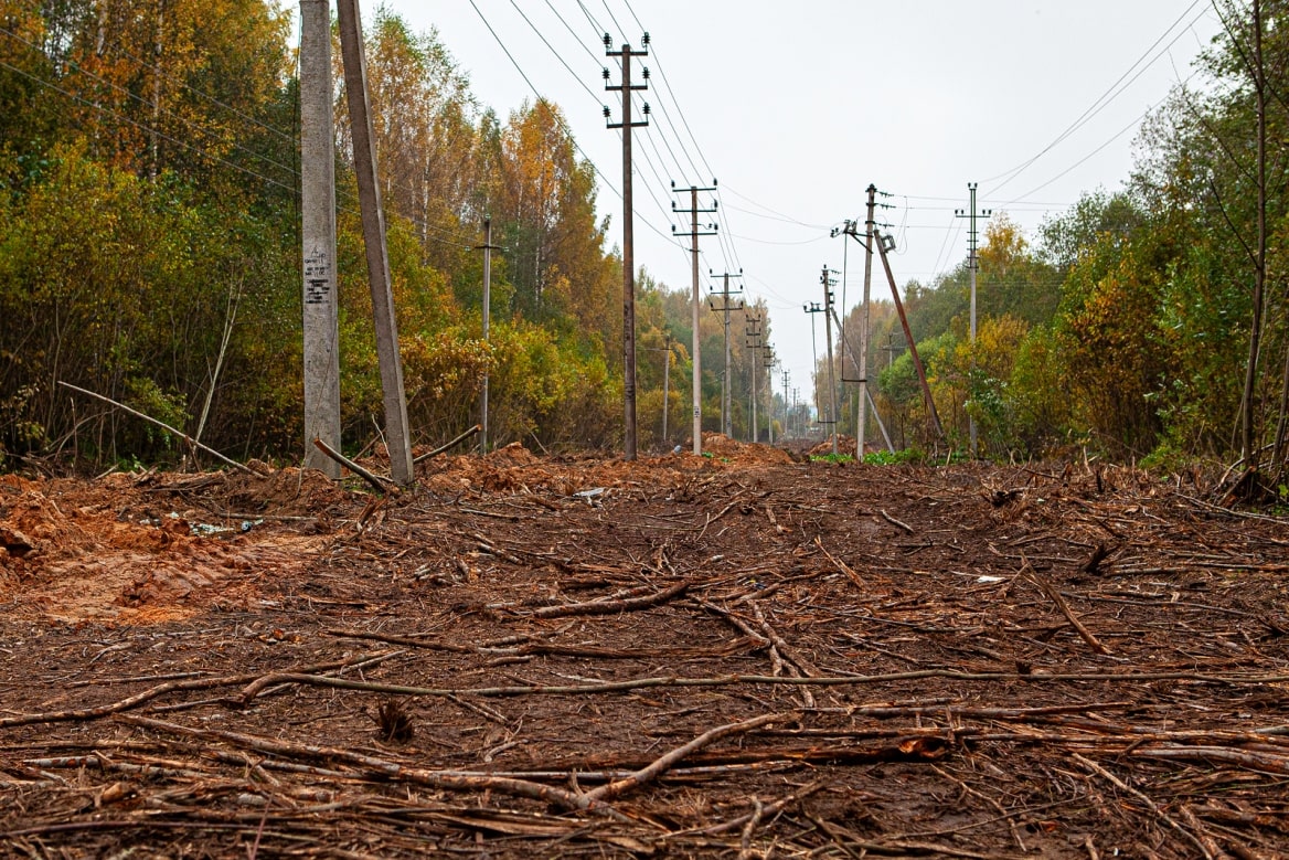 Энергетики повышают надежность электроснабжения в Осташковском муниципальном округе Фото: Диана Журавлева