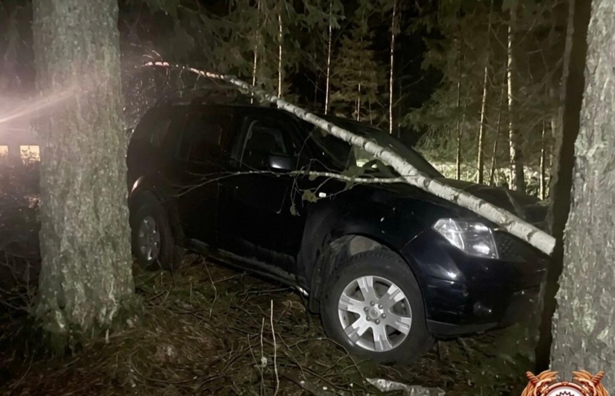 16-летняя автомобилистка без прав устроила ДТП с пострадавшими под Удомлей - новости Афанасий