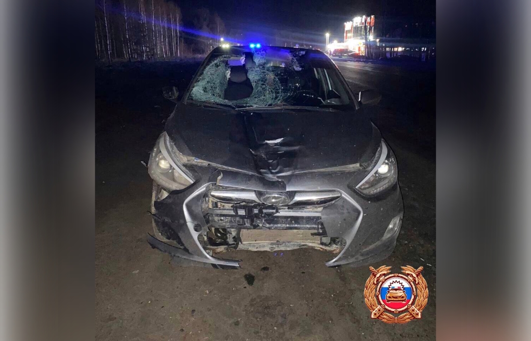 Под Тверью насмерть сбили пешехода  - новости Афанасий