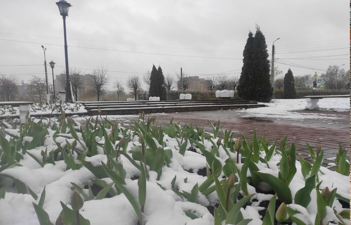 Циклон над Тверской областью постепенно ослабевает Фото: Afanasy.biz