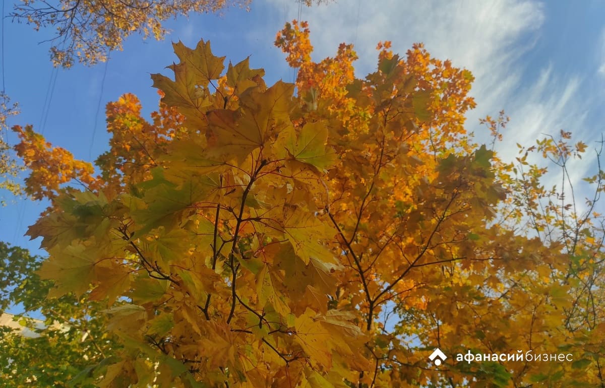 Сегодня в Твери малооблачно и без осадков Фото: архив редакции