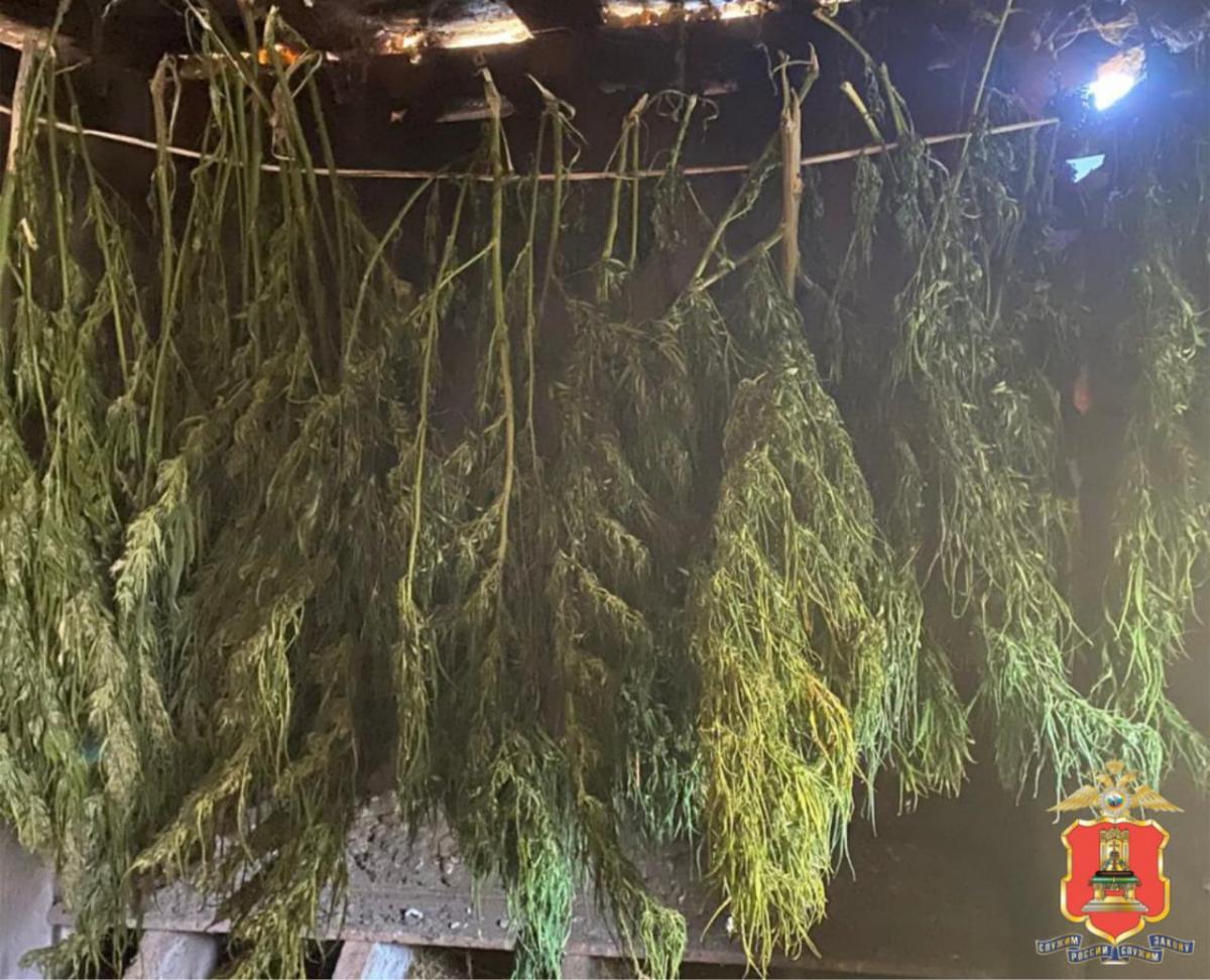 Житель Зубцовского округа признался, что хранил почти 2 килограмма конопли для себя Фото: УМВД Тверской области