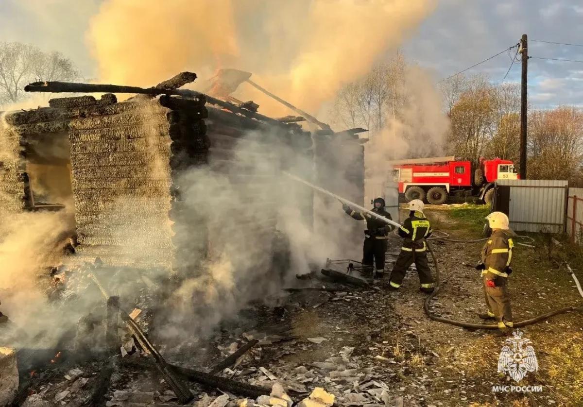 Под Старицей пожар уничтожил дом Фото: МЧС Тверской области