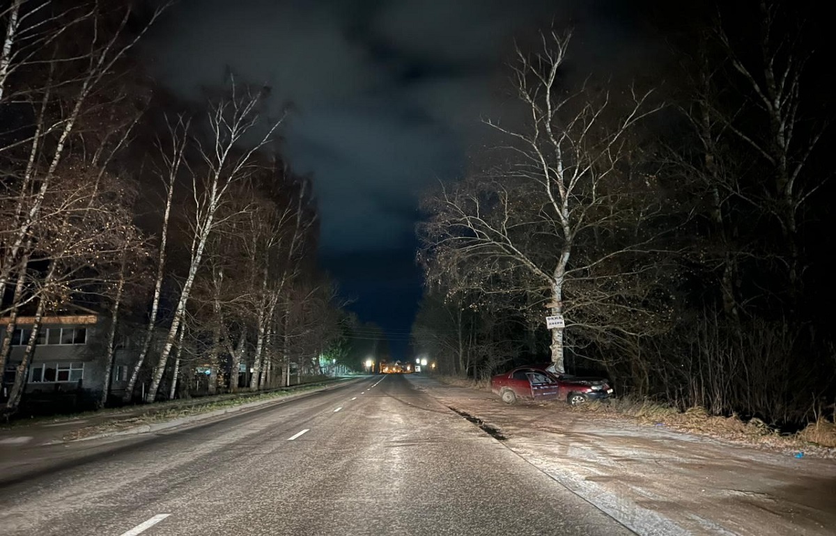 В Старице погиб водитель автомобиля, врезавшегося в дерево Фото: Госавтоинспекция Тверской области