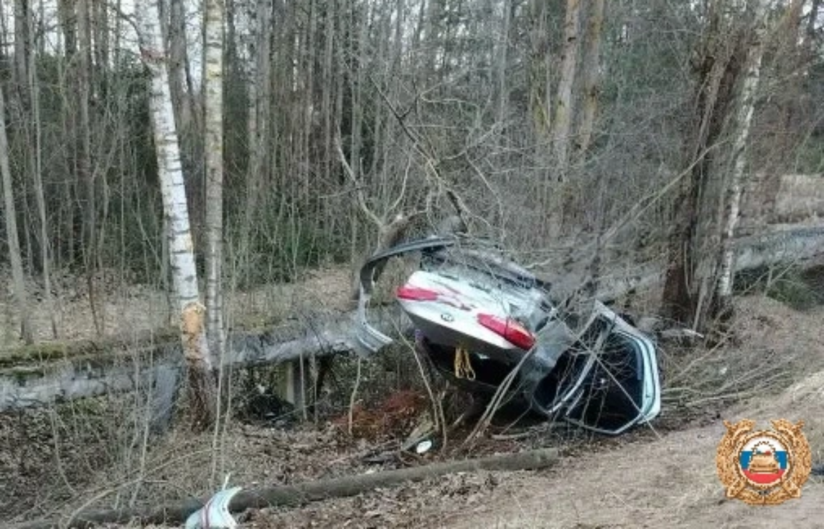 Три человека пострадали в ДТП на дороге под Удомлей в Тверской области Фото: ГАИ