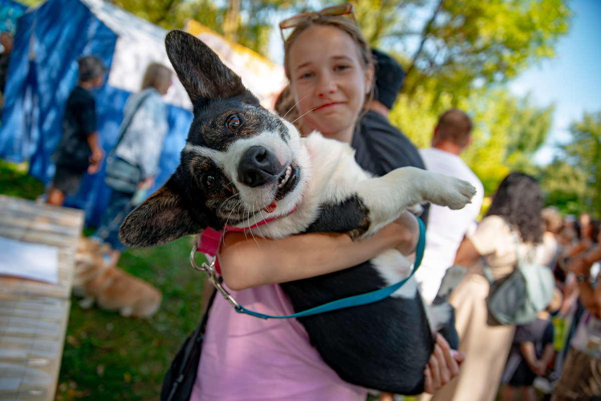 Фестиваль в защиту животных в Твери собрал больше 5 000 участников и гостей Фото предоставлено Инициативной группой по защите животных Твери Фестиваль в защиту животных в Твери собрал больше 5 000 участников и гостей Фото предоставлено Инициативной группой по защите животных Твери