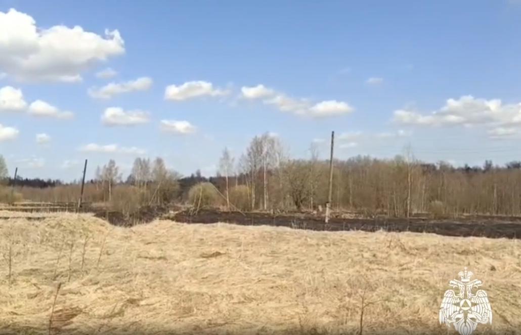 В Тверской области огнеборцы потушили гектар травы - новости Афанасий