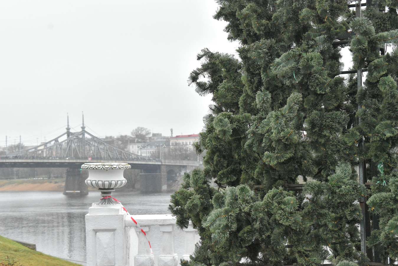 В Твери ставят новогодние елки Фото: администрация Твери