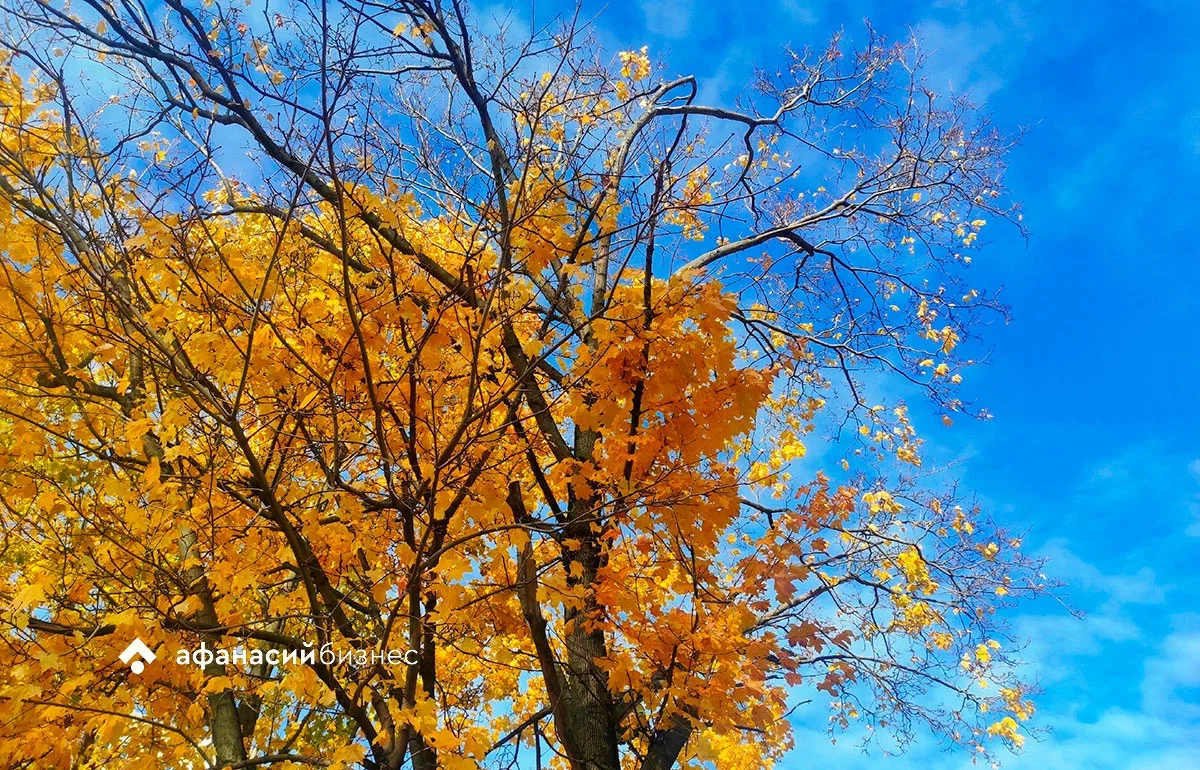 Утром на Земле прошла еще одна буря из-за влияния корональной дыры на Солнце Фото: архив редакции, xras.ru