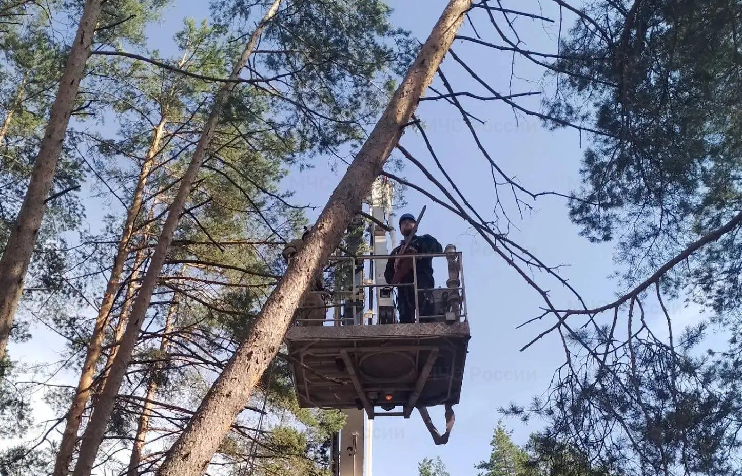 МЧС сообщило о частичном отсутствии электроэнергии в 15 муниципалитетах Тверской области Фото: ГУ МЧС по Тверской области