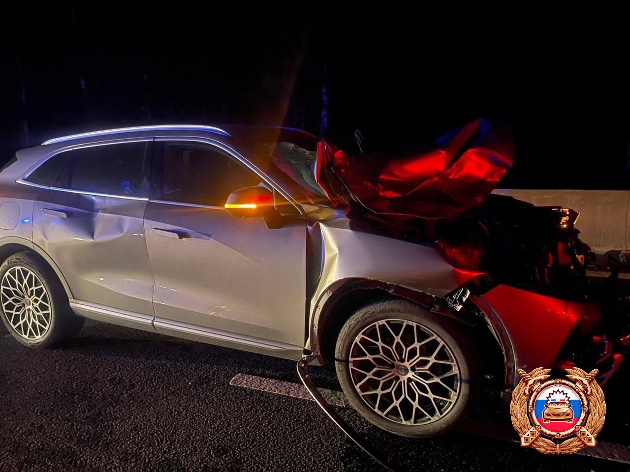 На М9 в Тверской области после ДТП с лосем водителя легковушки увезли в больницу Фото: ГАИ