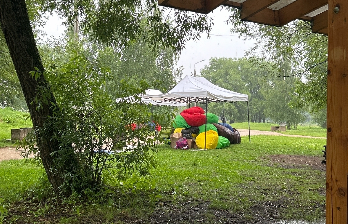 В Твери из-за непогоды перенесли фестиваль животных - новости Афанасий