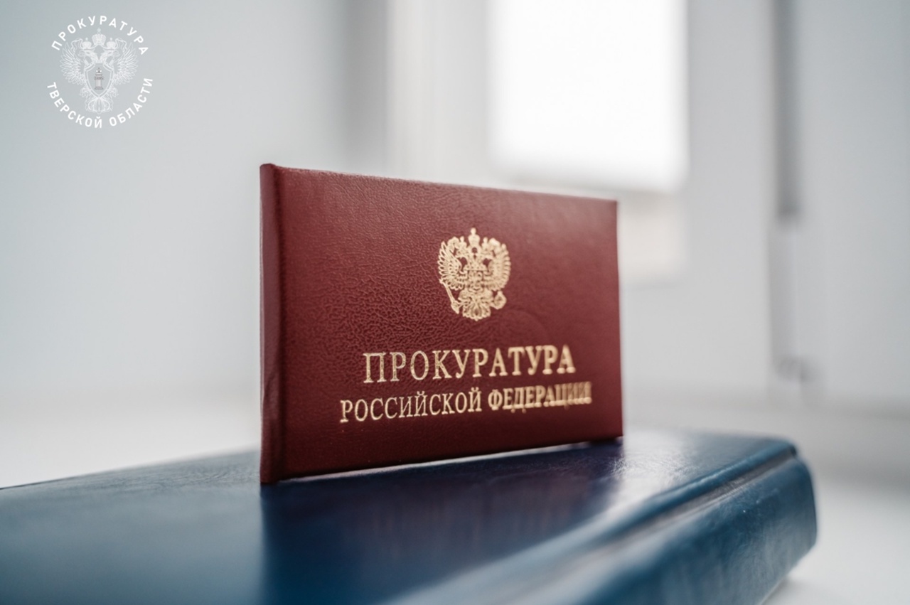 Свалку в Сонковском районе организовали на землях лесного фонда