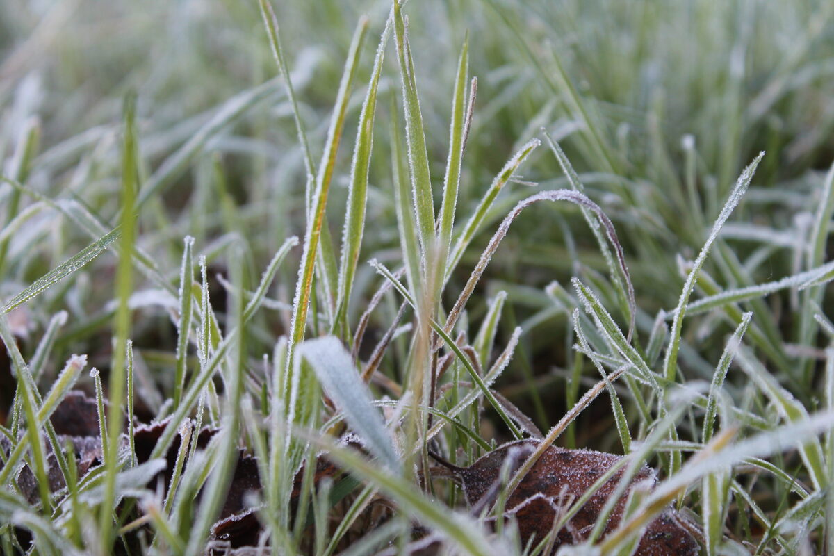 Всю неделю в Твери будут идти дождь и снег Фото: архив редакции