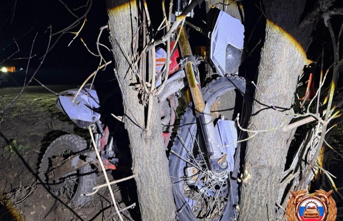 Под Тверью мотоциклист съехал с дороги и врезался в дерево - новости Афанасий