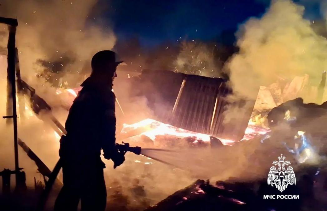 Больше 40 животных погибли на пожаре в Осташковском округе - новости Афанасий