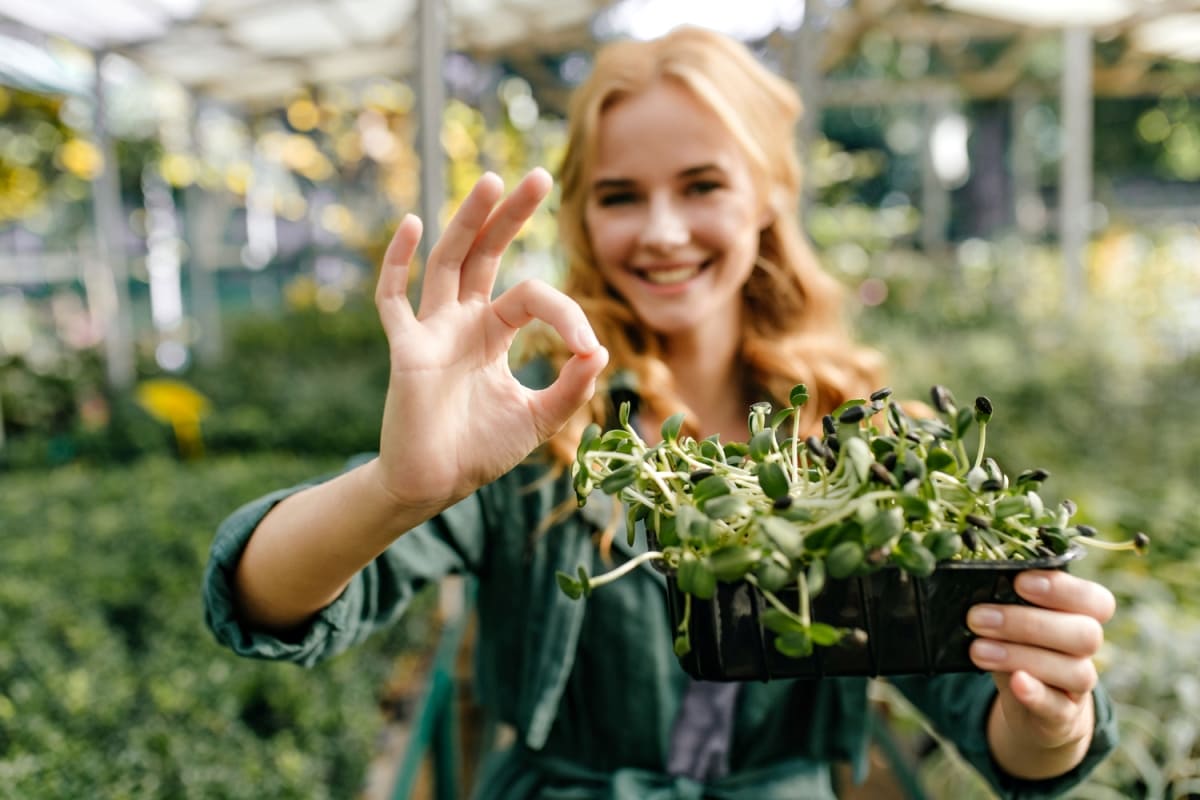 2 часа на грядке эквивалентны походу в тренажерный зал: эксперты научно обосновали пользу «дачного фитнеса» Изображение от lookstudio на Freepik