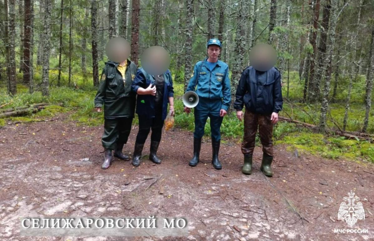 В Тверской области нашли и вывели из леса четверых грибников - новости Афанасий