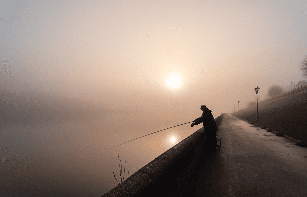 В Тверской области установлены запреты на добычу рыбы - новости Афанасий