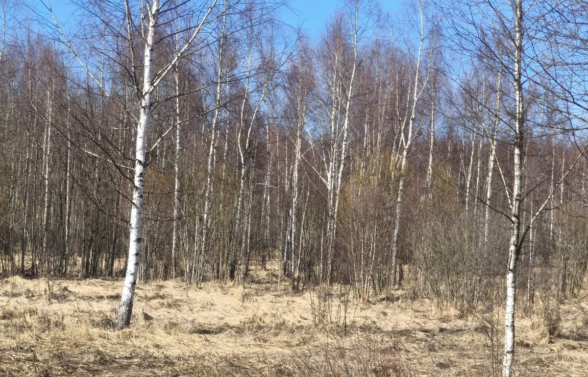 Собственник 34 га зарастающей сорняками земли получил «письмо счастья» 