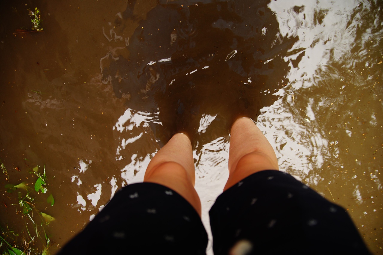 Что помогло летом дачникам пережить пожары, ураганы и падение деревьев Фото: Afanasy.biz