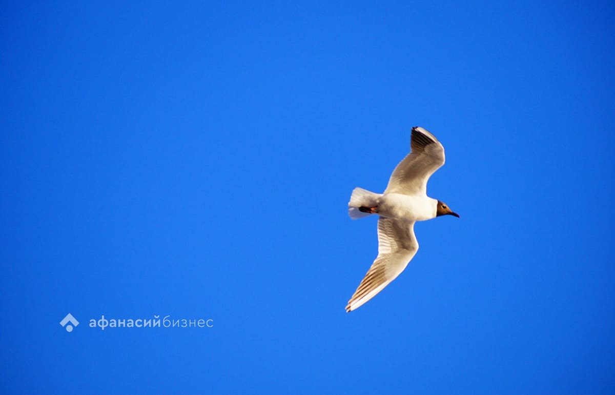 Выставку о «Титанике» затопило в годовщину катастрофы Фото: архив редакции