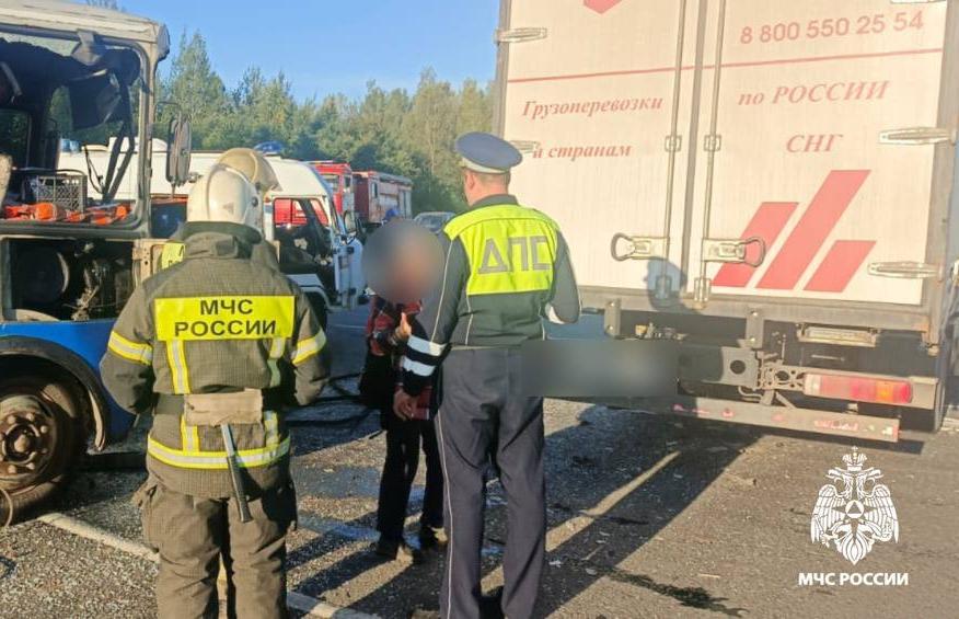 Восемь человек получили травмы в ДТП с автобусом на М9 в Тверской области - новости Афанасий