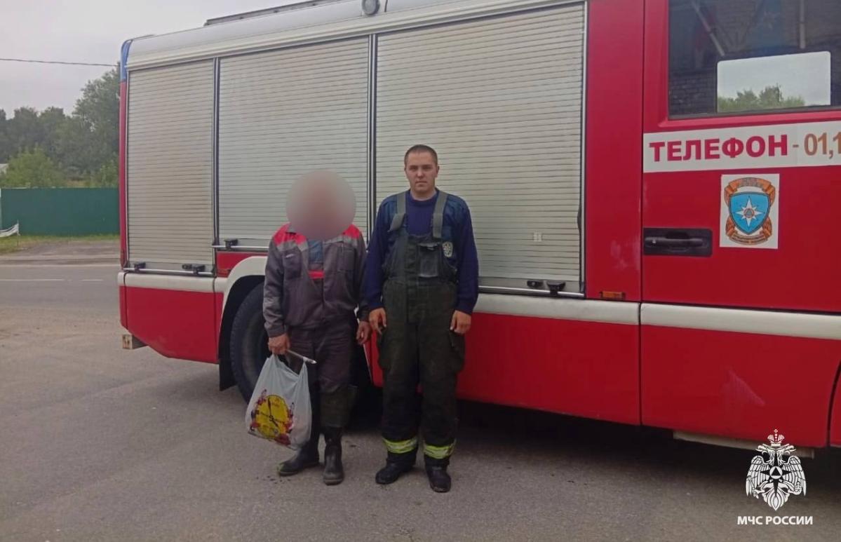 В лесах Тверской области нашли заблудившихся грибников - новости Афанасий