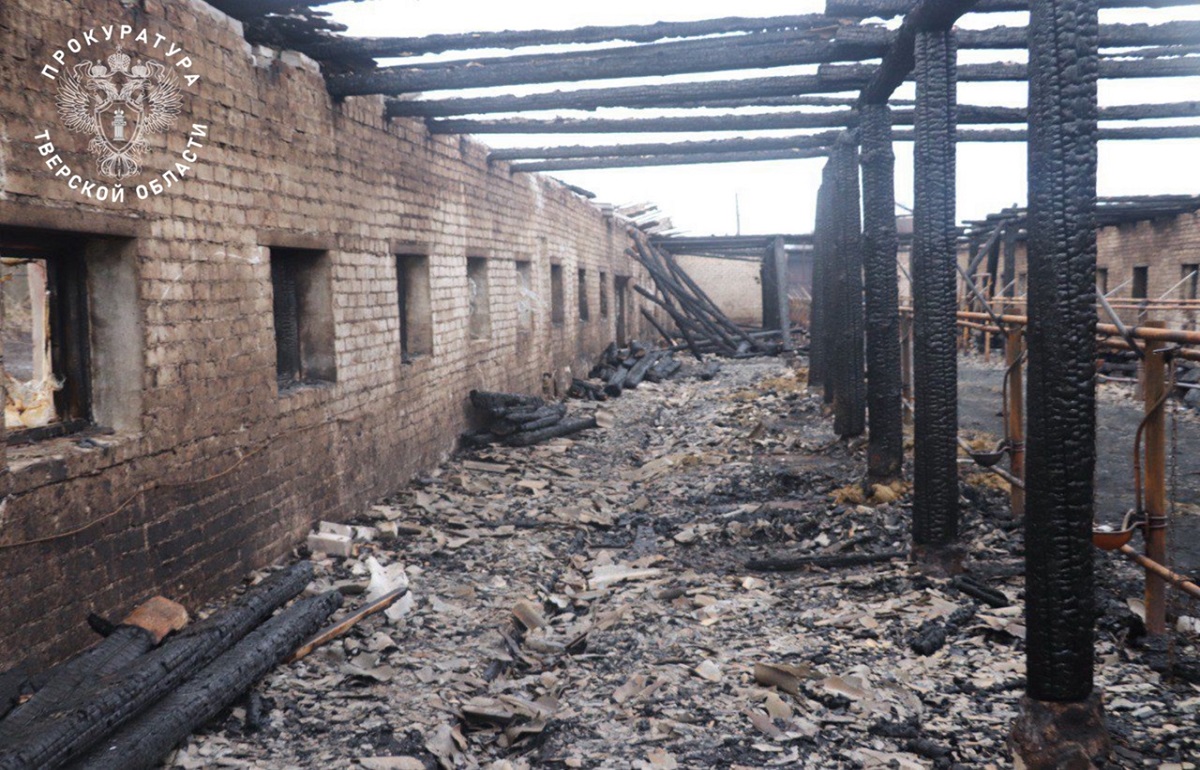 В Торжке осудили работницу, спалившую ферму и 19 коров  - новости Афанасий