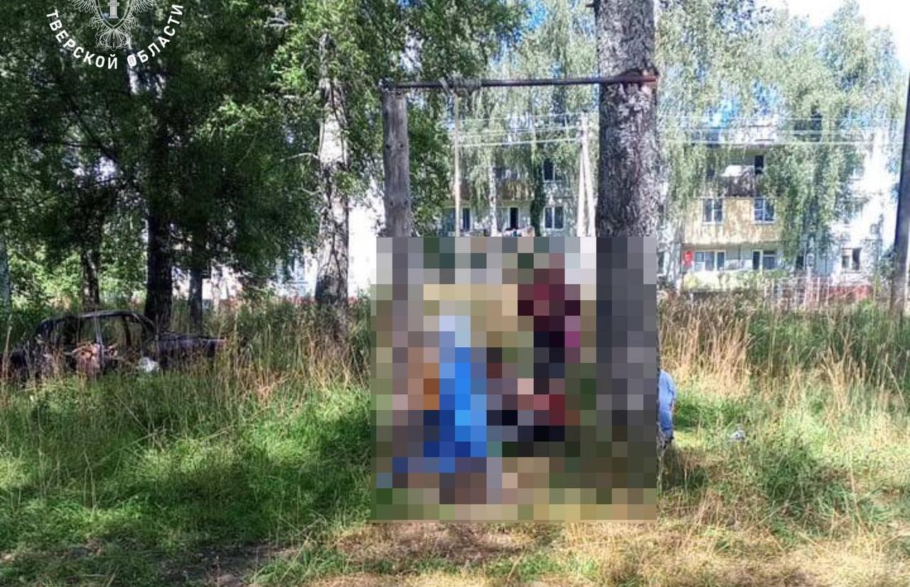 В Тверской области ребенок погиб на самодельных качелях - новости Афанасий