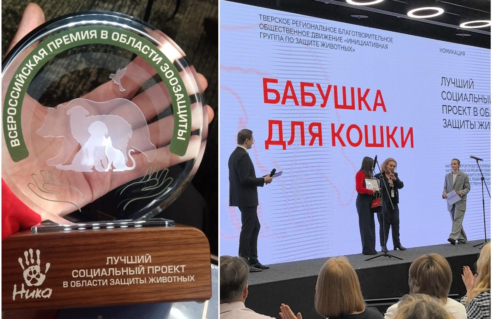 Тверской проект «Бабушка для кошки» признан лучшим социальным проектом в России Фото: «Инициативная группа по защите животных»