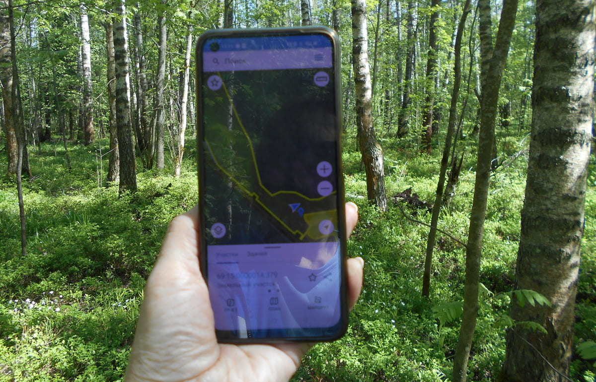 Хозяину 170 га заросших угодий под Бежецком выдано предостережение - новости Афанасий