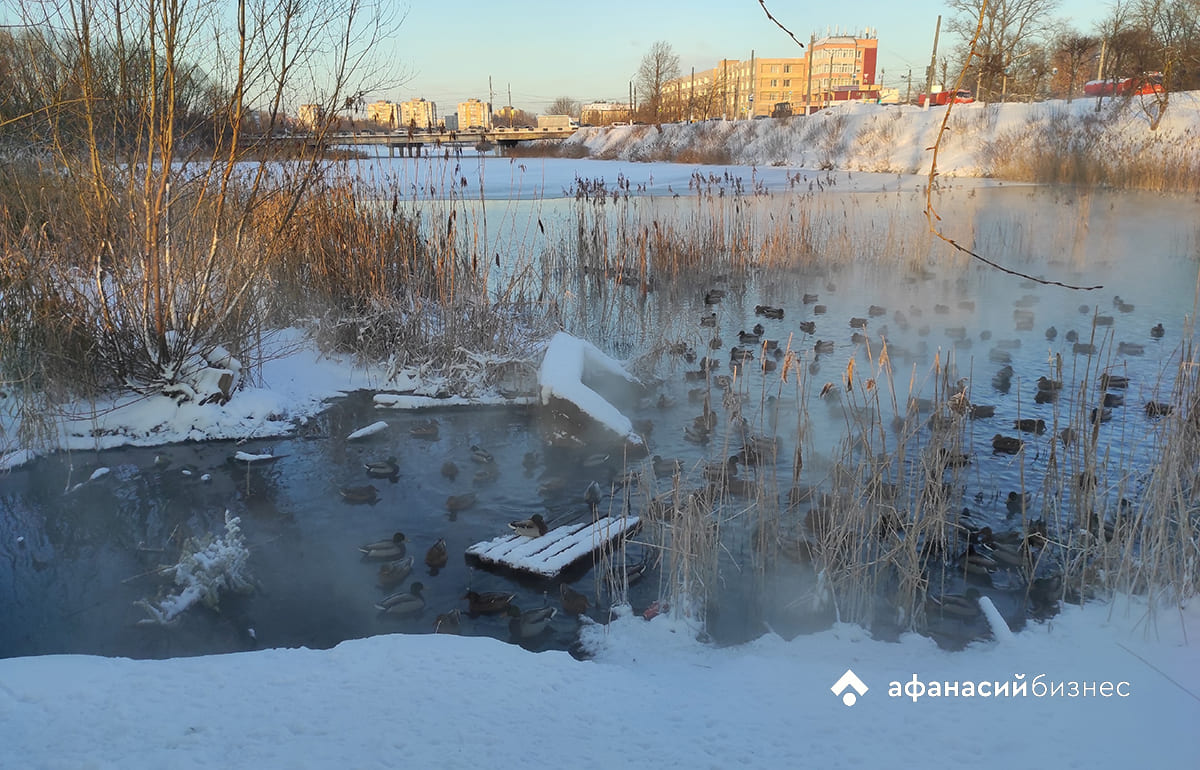 Морозы уйдут из Твери, но ненадолго