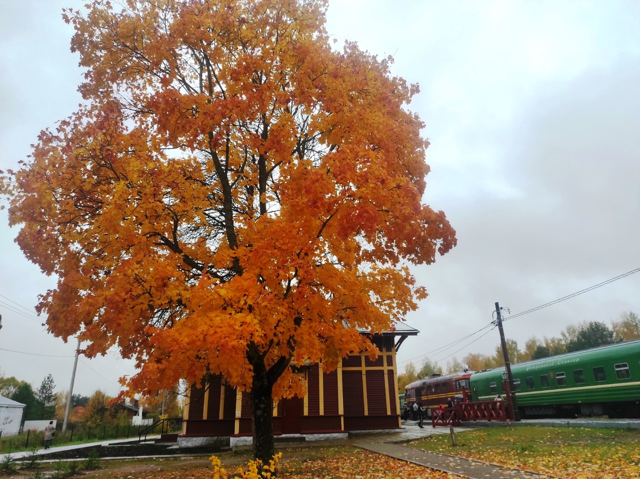 Ерофей Лешегон приносит холода. Погода в Твери сегодня расскажет о скорой зиме Фото: Afanasy.biz