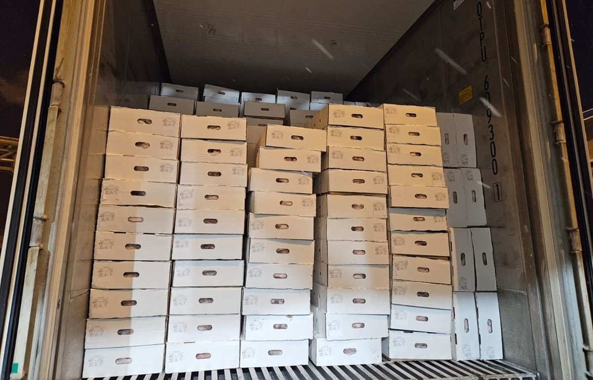 В августе уже 120 тонн мясопродуктов на экспорт проверил Россельхознадзор Фото: Россельхознадзор