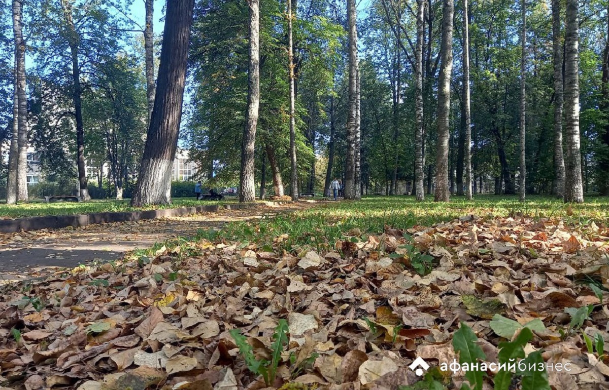 Тепло постепенно уходит из Тверской области Фото: архив Afanasy.biz