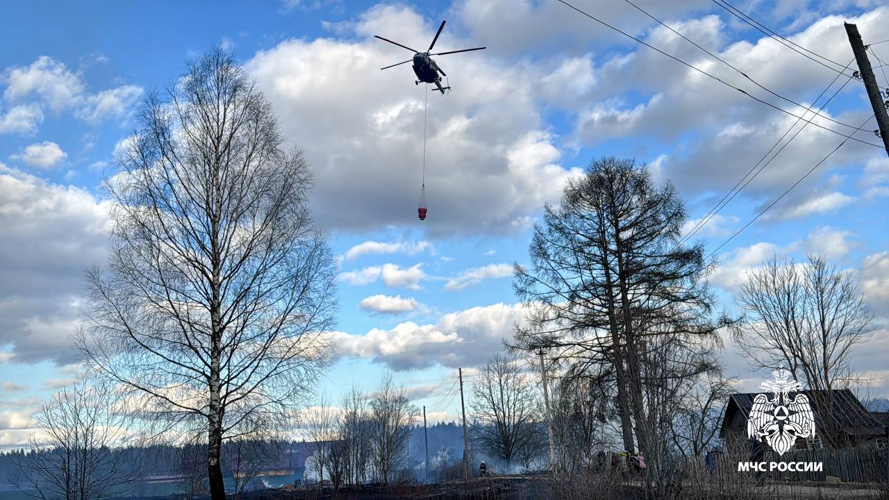 Пожар в поселке Ранцево под Кувшиново произошёл из-за бензореза - новости Афанасий