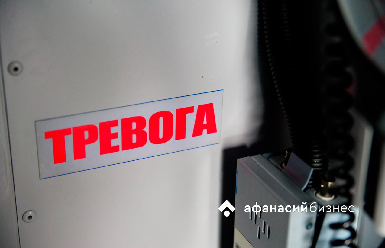 В Тверской области за убийство кошки осужден мужчина - новости Афанасий