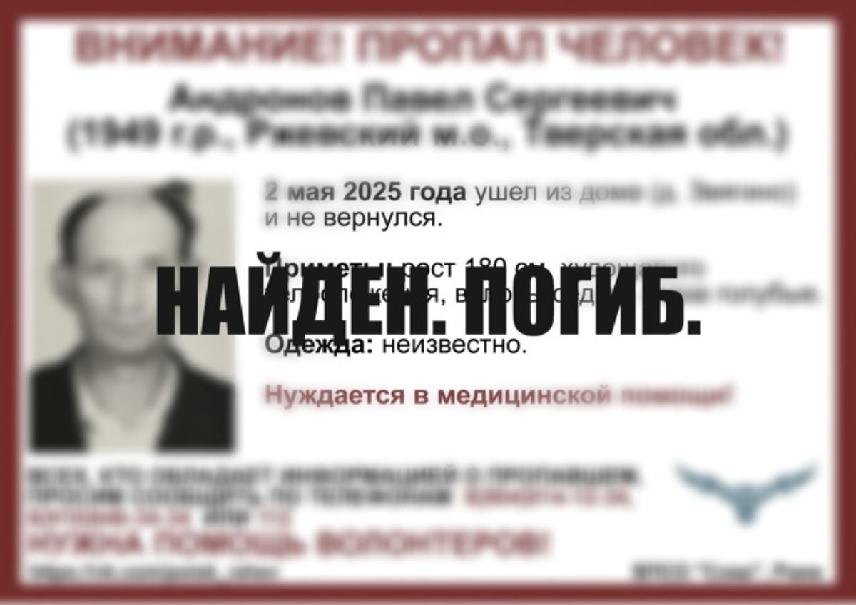 В Ржевском районе пропал 76-летний мужчина Фото: ВПСО «Сова»