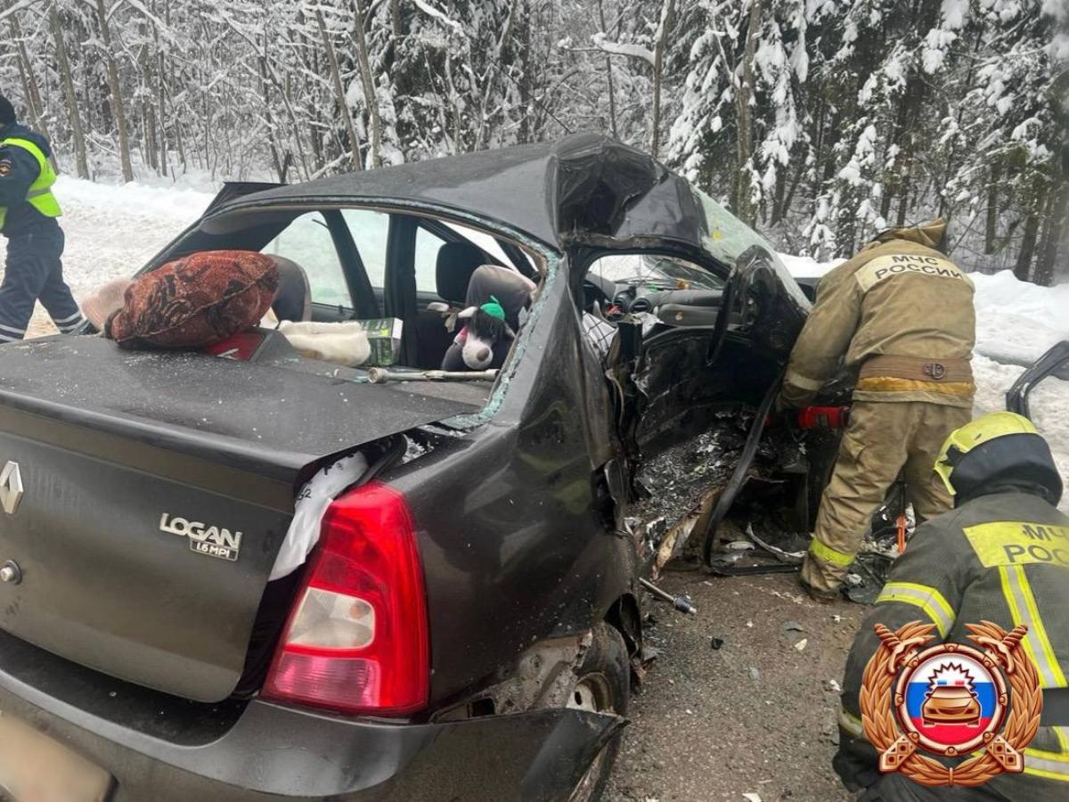 Ребенок погиб в лобовом столкновении Renault и Газели в Тверской области Фото: ГАИ, прокуратура, МЧС