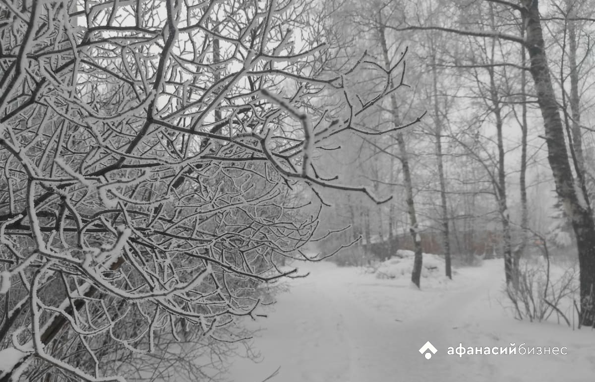 Сегодня температура в Твери начнет заметно повышаться Фото: архив редакции