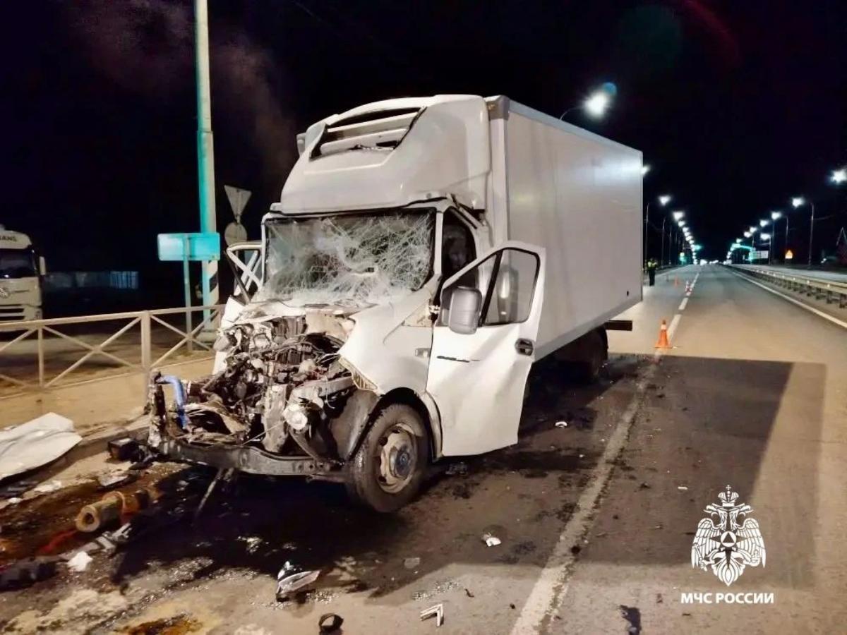 На М10 в Тверской области столкнулись две «Газели» Фото: МЧС