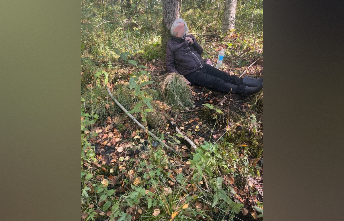 Под Лихославлем спасли пенсионерку, почти двое суток находившуюся в лесу - новости Афанасий