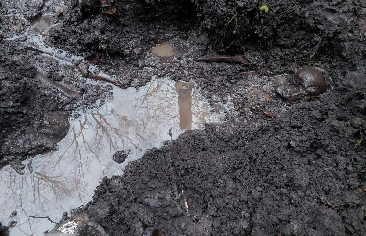 В Западнодвинском округе нашли останки солдата, погибшего в годы ВОВ - новости Афанасий