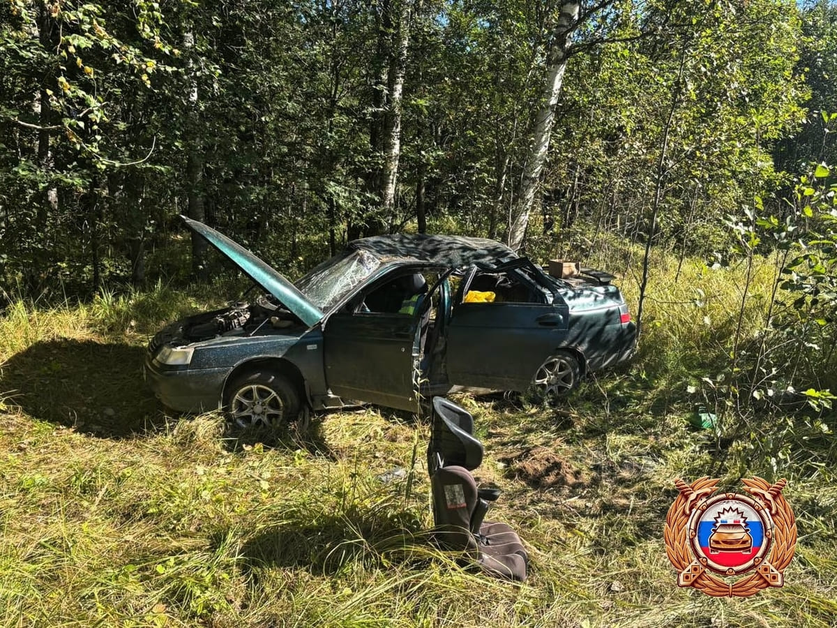 В ДТП в Кувшиновском округе пострадали пятеро детей Фото: ГАИ
