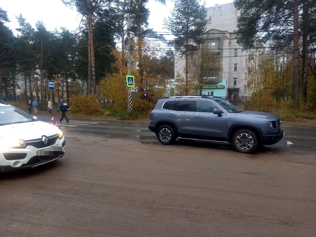 В Твери на Сахаровском шоссе сбили пенсионерку Фото: Госавтоинспекция Твери