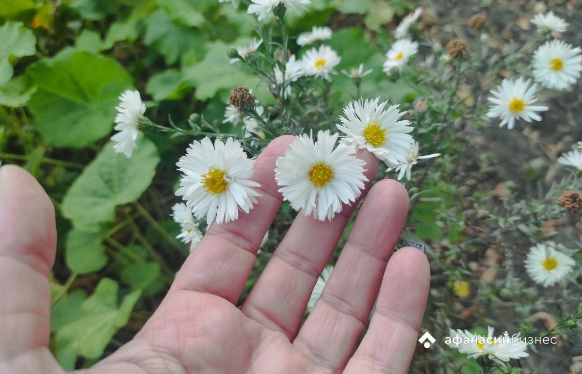В Твери по-прежнему тепло и ясно