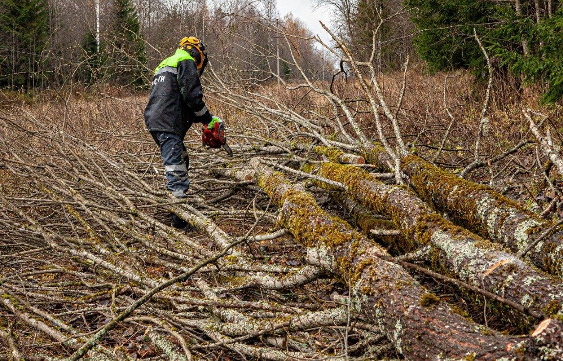 Тверские энергетики завершили ремонтные работы в Западнодвинском муниципальном округе - новости Афанасий